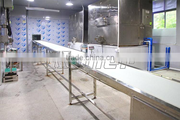 3 Tons Cube Ice Making Machine with Packing System