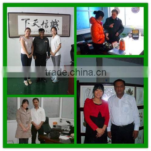 Plastic cryo tube box