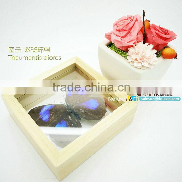FOUSEN(011) Nature& Art natural real dried butterfly unique table frame