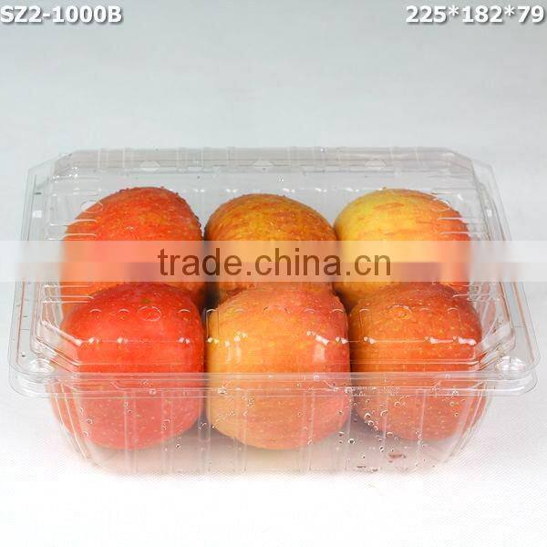 1000g Cherry disposable Plastic Fruit Container Supplier