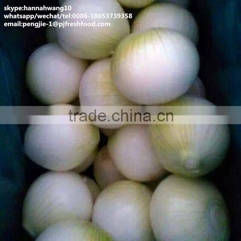 2016 new crop fresh peeled onion
