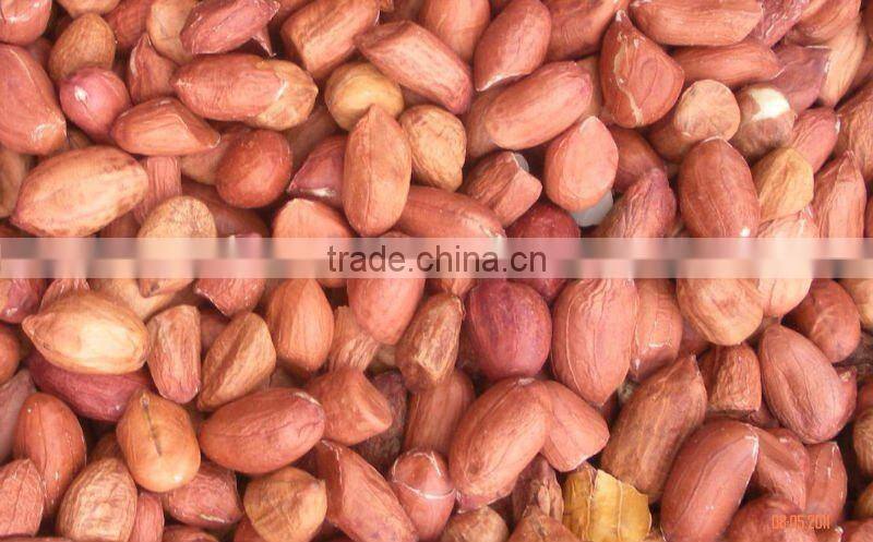 Peanut/Groundnut kernel
