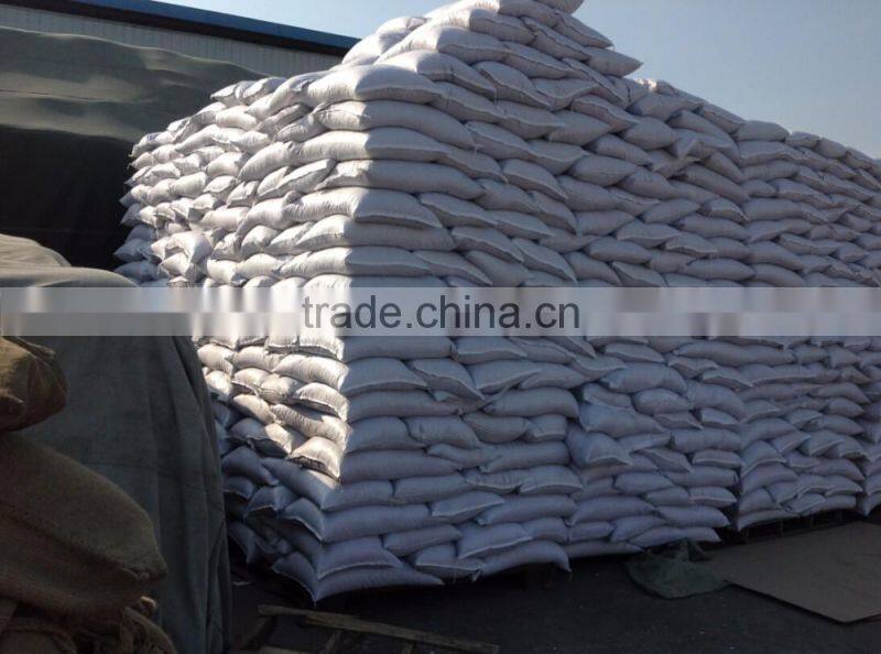 new crop chinese white pumpkin seeds shine skine for sell
