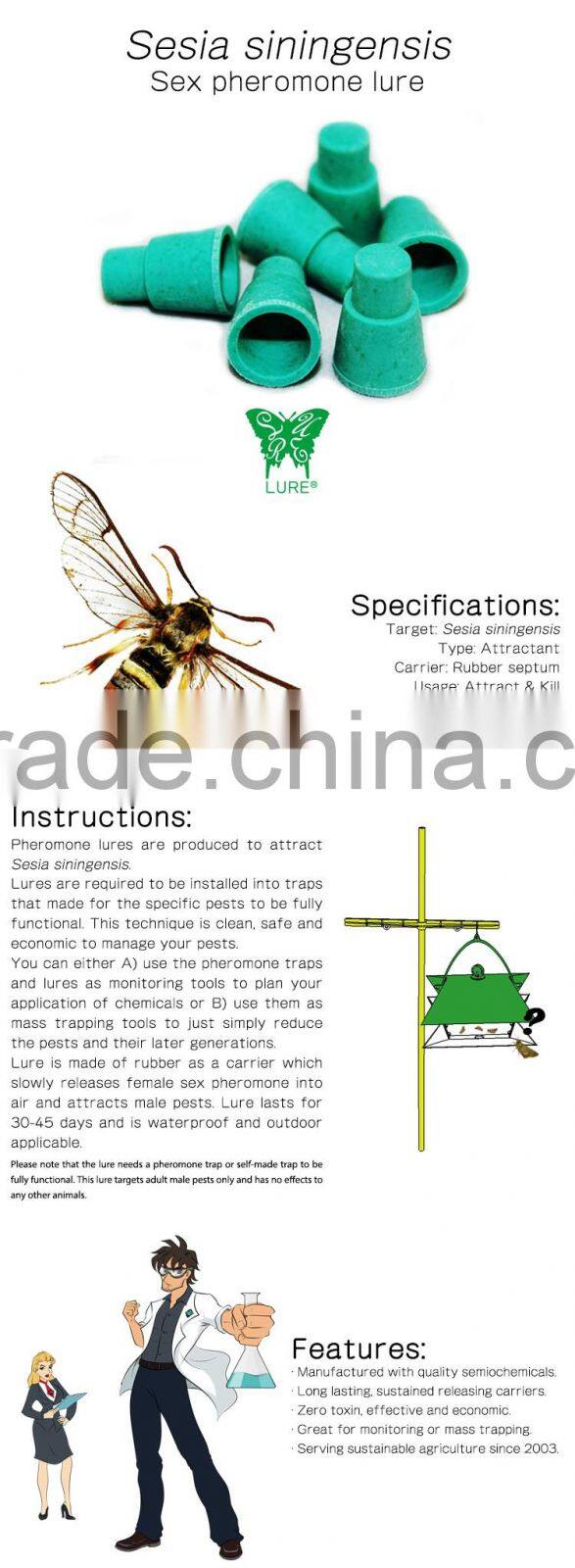 Pheromone lures for Sesia siningensis, Sex Pheromone Attractant & Pheromone Trap