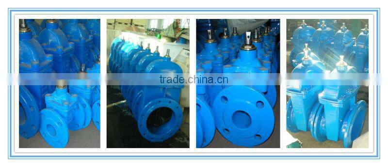 6 inch cast iron resilient seated different type of gate valve