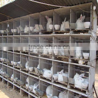 12 Door Commercial Rabbit Cage