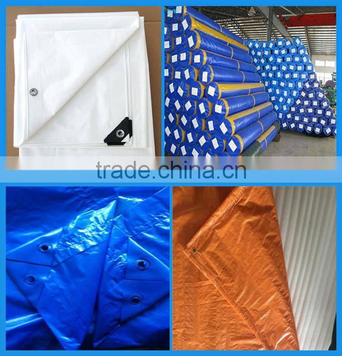Strong and hard paper core blue pe tarpaulin roll fireproof poly tarp
