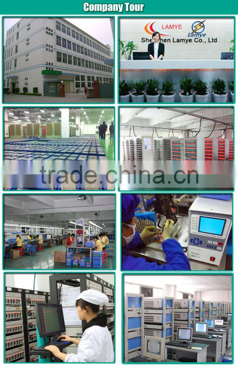 Factory Price OEM 48v 50ah lifepo4 battery pack 48v 12ah lifepo4 battery pack with BMS Charger