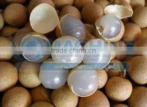 Commercial vegetable and fruit and Green tea drying machine