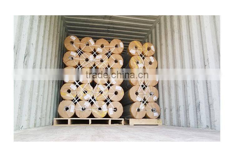 pe film manufacturers/pe bag on roll