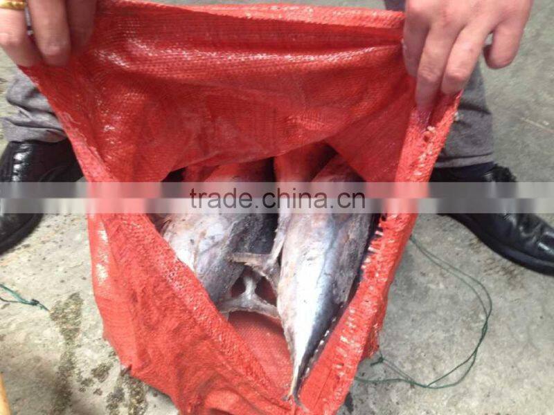 Fresh sea frozen bonito300-500 500-700 750-1000
