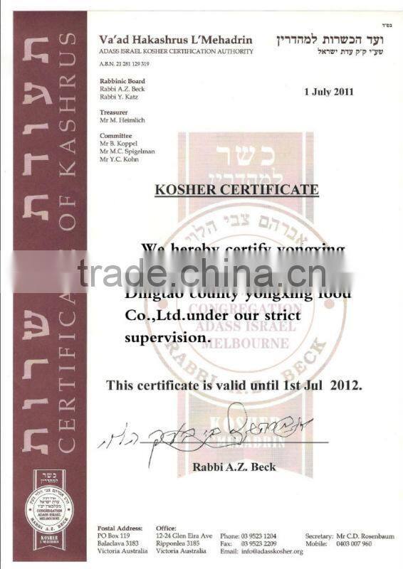 power baker instant dry yeast 500g package light yellow yeast products made in China