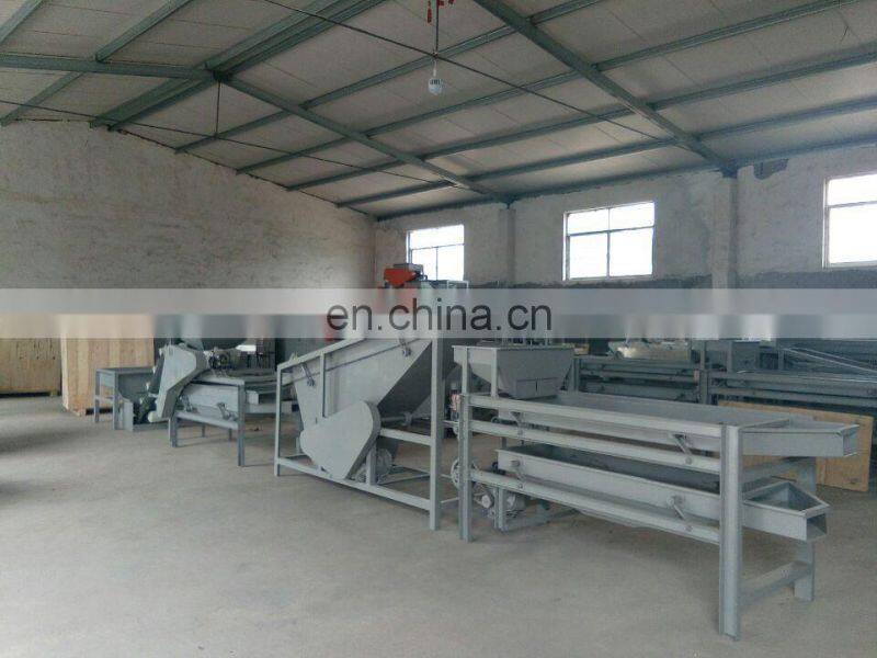 Taizy Machine for breaking nuts walnut almond cracking and shelling machine
