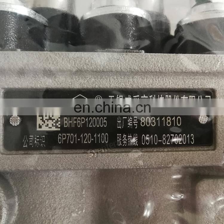 6CT8.3 Diesel Engine Weifu Fuel Injection Pump 3973900
