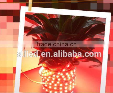 New light SMD5050 DC12V/24V rgbw wireless bendable led strip light