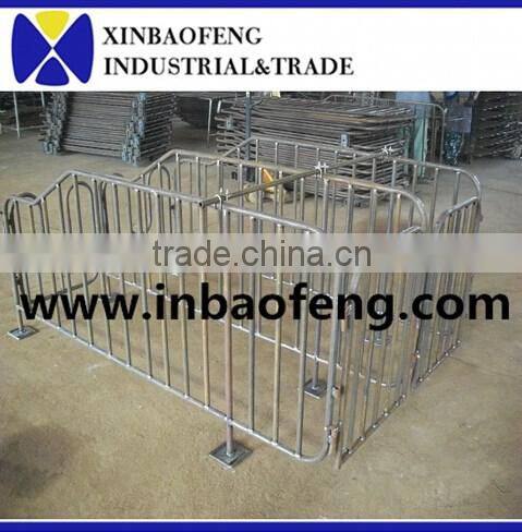 pig gestation stall for pig