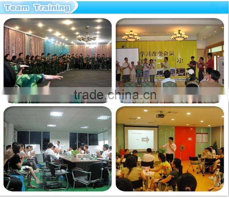 Cheap price 304sus 316sus stainless steel glass clamp/China supplier hiah quality balustrade glass clamp(GC-11)