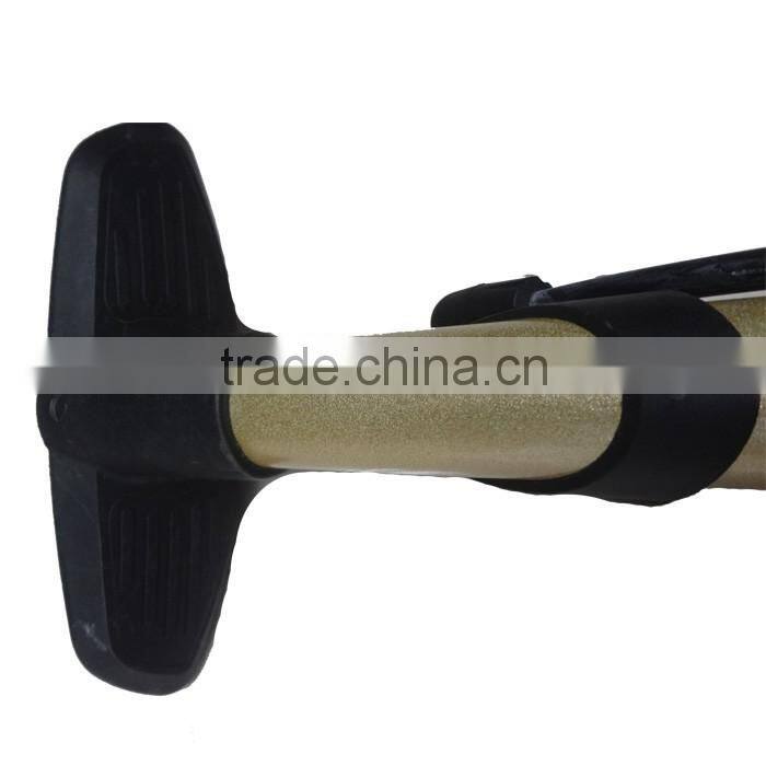 Bike Partner Bicycle Iron Air Floor Pump with Guage