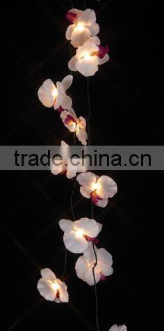 wedding decoration lights