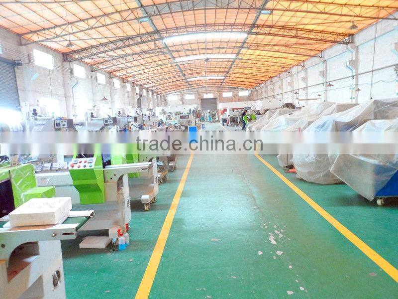 Fully Automatic Screw Packing Machine