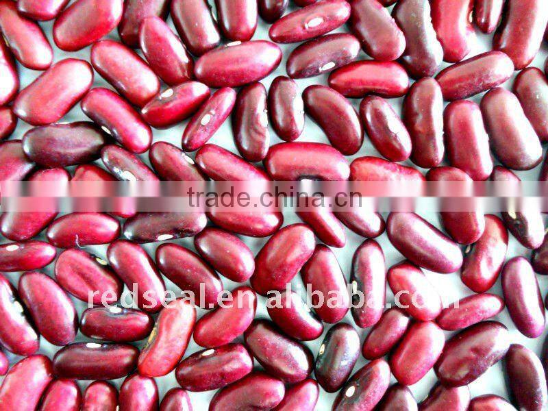 Dark red kidney beans for sale