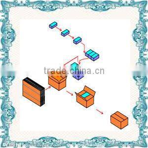Horizontal case packer machinery from Shanghai Port
