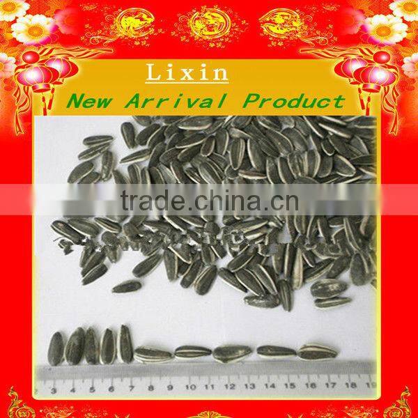 sunflower seeds long shape