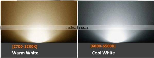 2015 Decorative Street Lighting Pool Garden LED Fluter ,70W LED Light