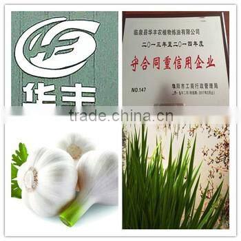 Buy High Qulity Natural Pure Garlic Oil from Chinese Factory with Kosher Certificate