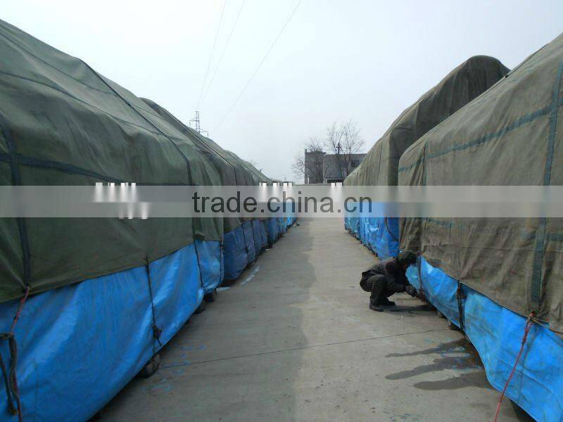 Dried red speckled kidney bean