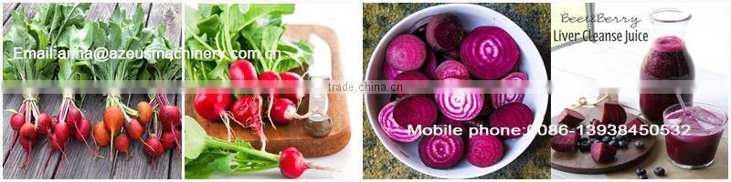 Automatic spiral cold press juicer for fruits and vegetables with large capacity