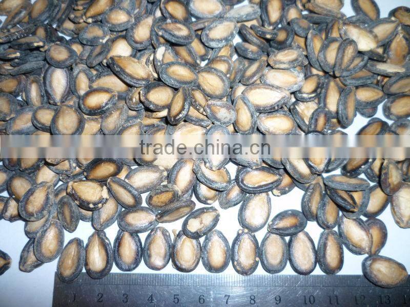 Black Watermelon Seeds new crop