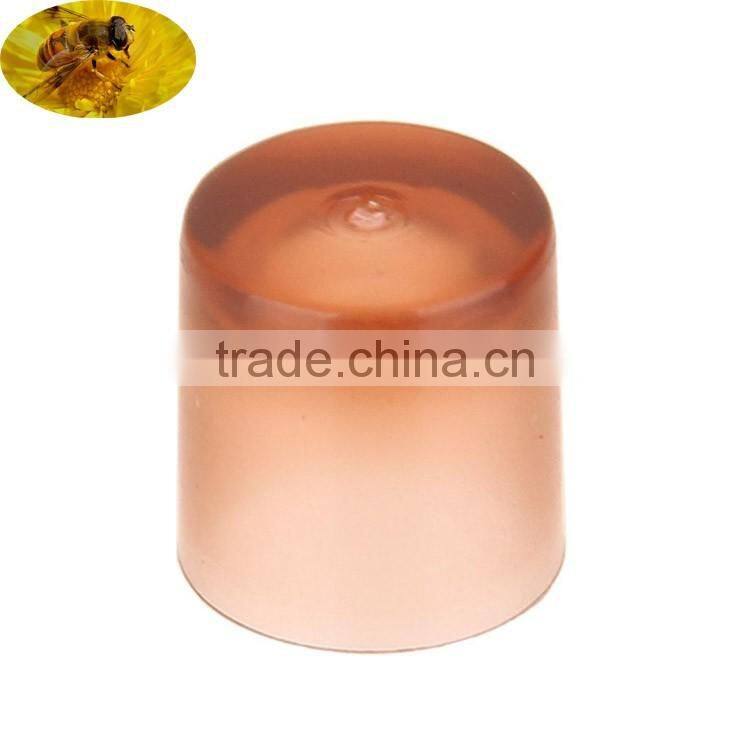 Hot Sale Beekeeping Kit Complete Honey Bee Brown Queen Cell Cup For Queen Bee Rearing
