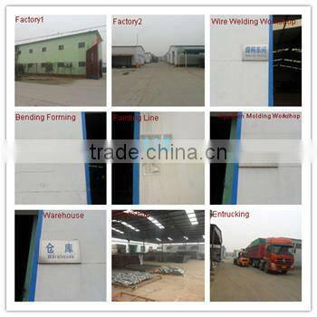 Razor Wire Mesh (factory)