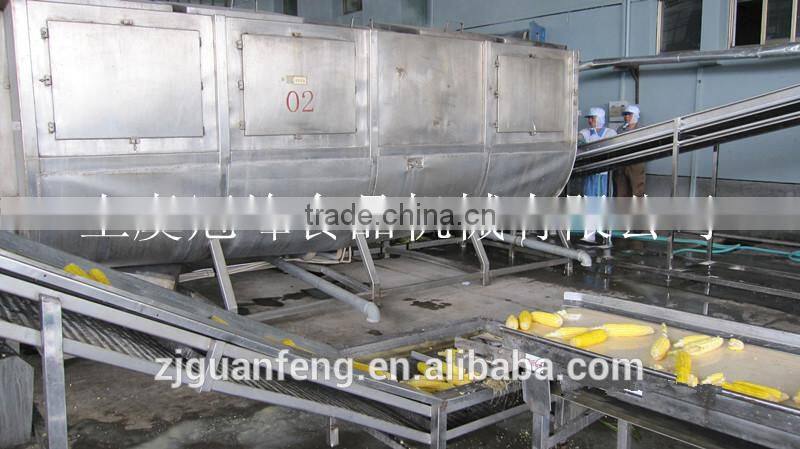 fruits and vegetables quick freezing production processing line