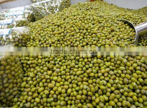 Mung Bean CCD Color Sorter