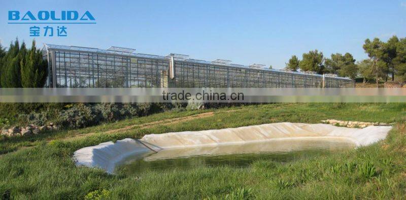 The Cheapest Hot sale and Easily Installed Multispan Glass greenhouse