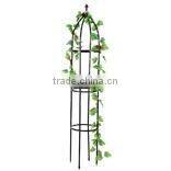 Garden Iron Obelisk Trellis