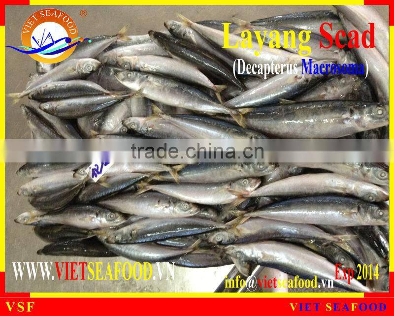 FROZEN LAYANG SCAD WHOLE ROUND