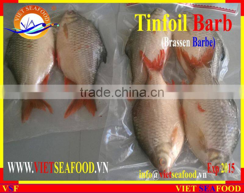 FROZEN W/R RED TAIL TINFOIL BARB