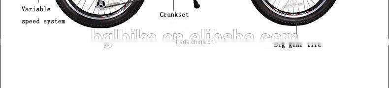 20 inch electric mountain folding bicycle made in Zhejiang