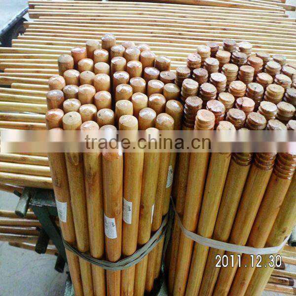 Eco-friendly eucalyptus painting wooden stick for broom and mop