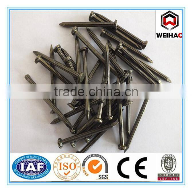 galvanized hardened concrete steel nails/stainless steel concrete nail