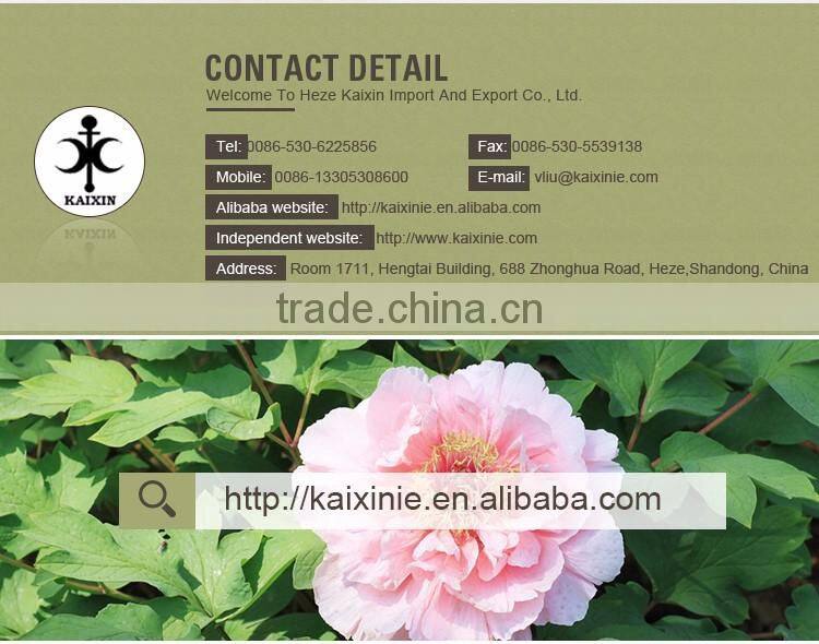 Chinese golden supplier 12mm/18mm hardwood core film faced plywood