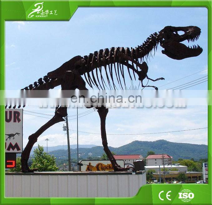 KAWAH High Quality Skeleton Replica Authentic Dinosaur Fossils For Sale