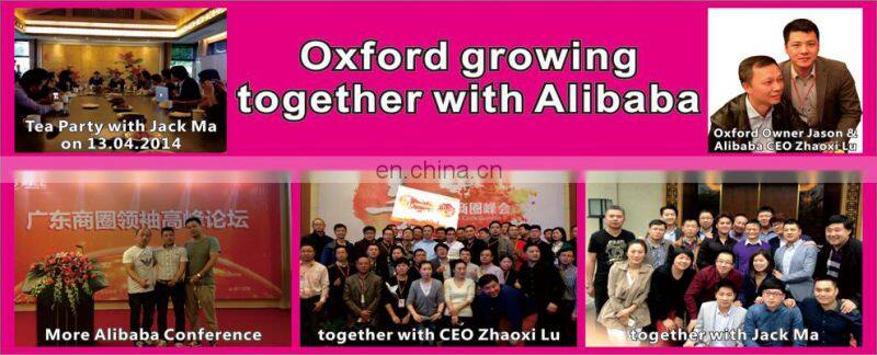 2017 new handbag fashion mini shoulder bag for women