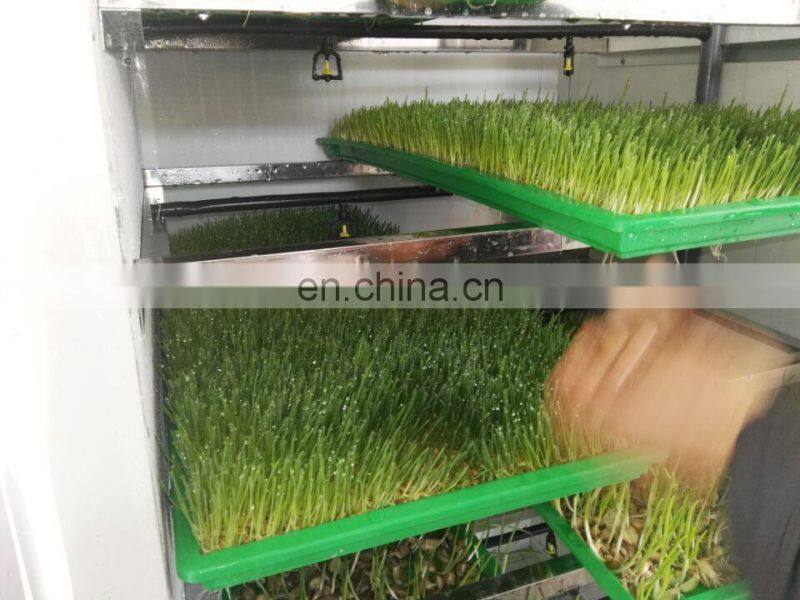 mung soya bean sprout machine /alfalfa bean sprout growing machine/hydroponic fodder machine