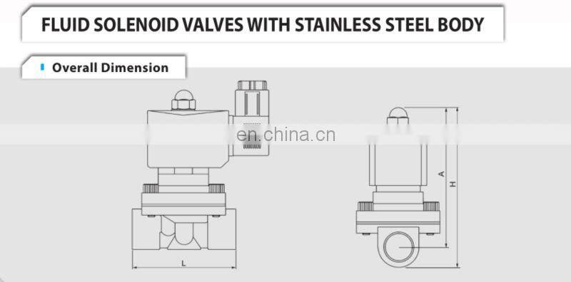 2WB-25 1 Inch Water Solenoid Valve/Stainless Steel Water Solenoid valve/Electric solenoid water valve