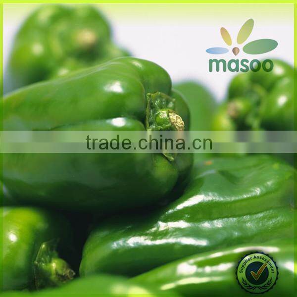 fresh green cayenne peppers export price