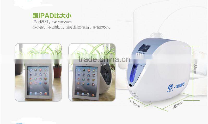 partable oxygen concentrator 1L family use